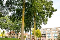 bhTTM_zondag108